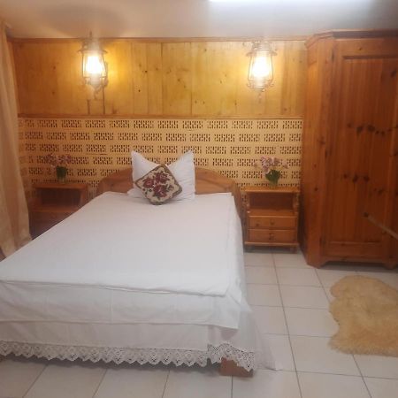 Apartament Pe Malul Raului Bega Temeşvar Dış mekan fotoğraf