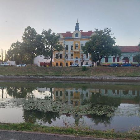 Apartament Pe Malul Raului Bega Temeşvar Dış mekan fotoğraf