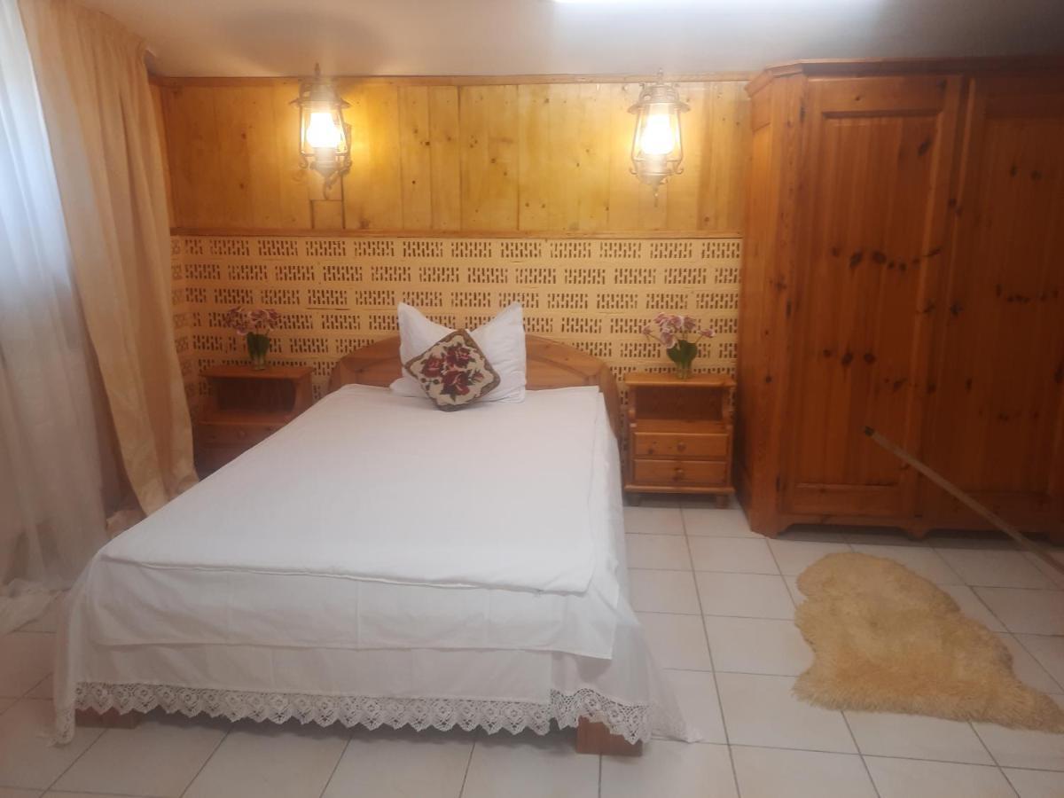 Apartament Pe Malul Raului Bega Temeşvar Dış mekan fotoğraf