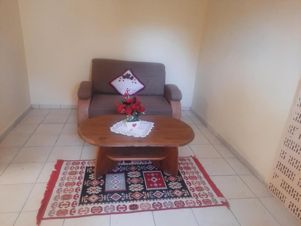 Apartament Pe Malul Raului Bega Temeşvar Dış mekan fotoğraf