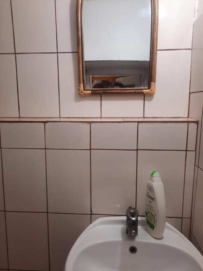 Apartament Pe Malul Raului Bega Temeşvar Dış mekan fotoğraf