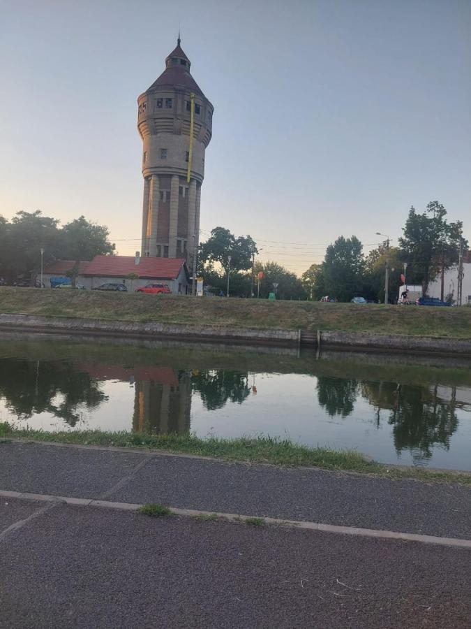 Apartament Pe Malul Raului Bega Temeşvar Dış mekan fotoğraf